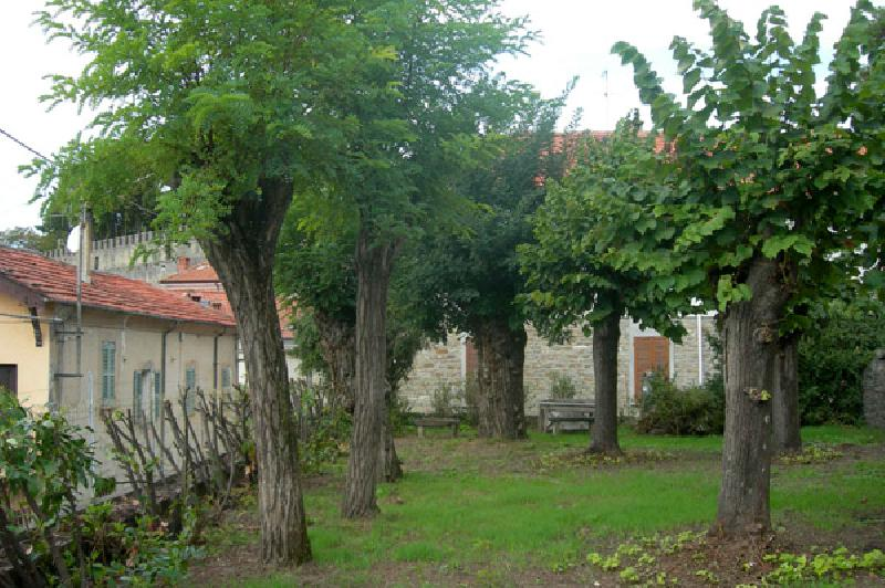 immagine annuncio 8 di 9