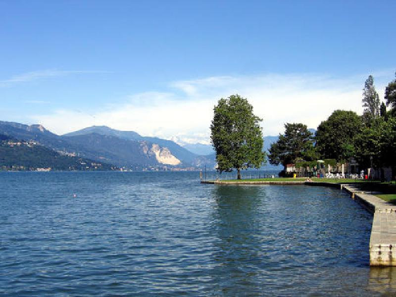 immagine annuncio 1 di 6