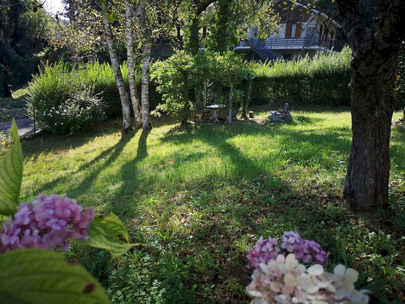immagine annuncio 1 di 7