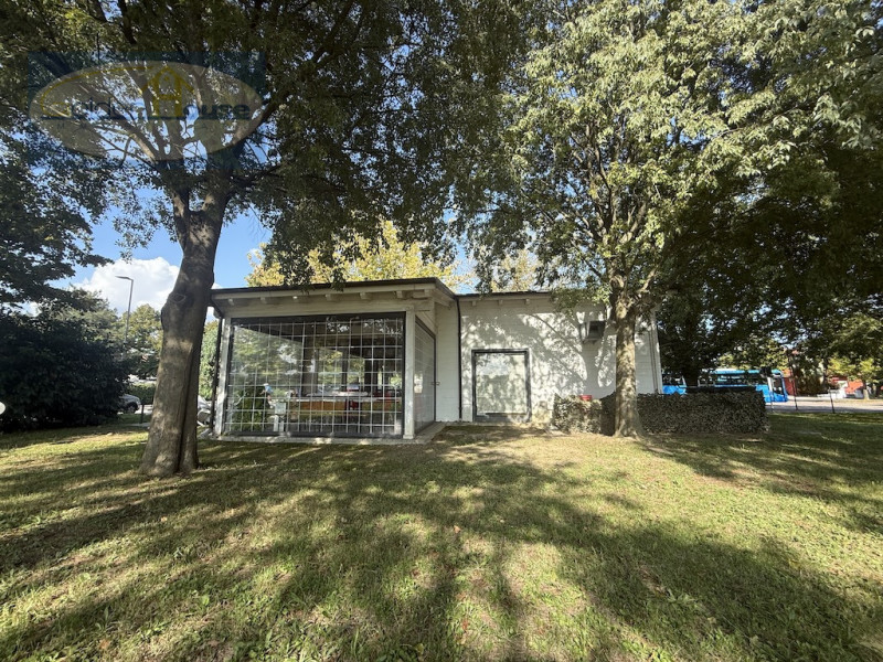 immagine annuncio 6 di 9