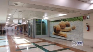 Affitto Negozio Corte Franca